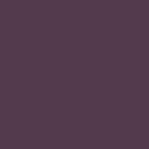 PLUM PURPLE