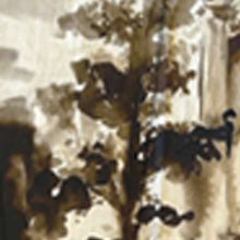 paesaggio pope specc