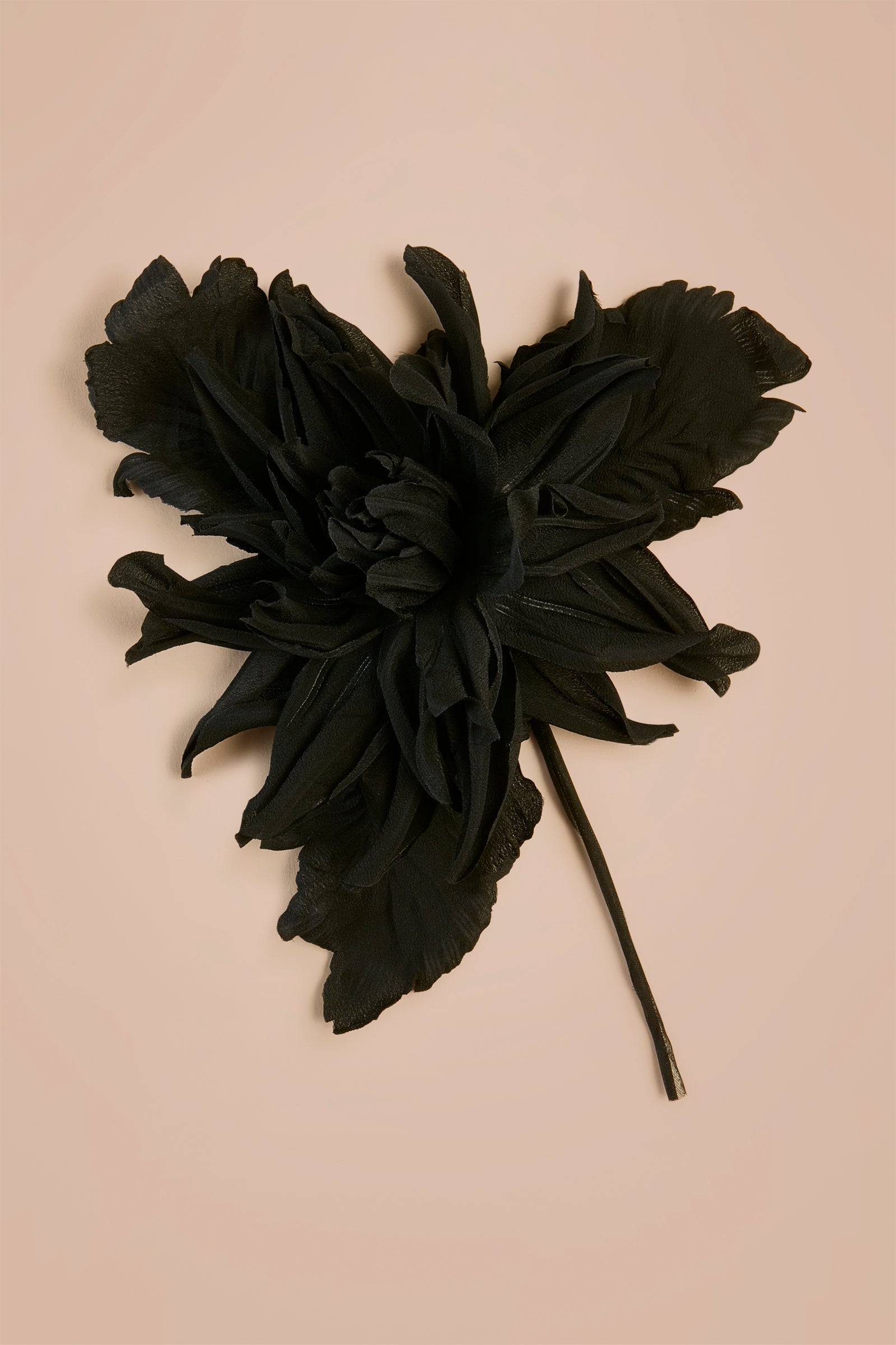 SPILLA MEDUSA