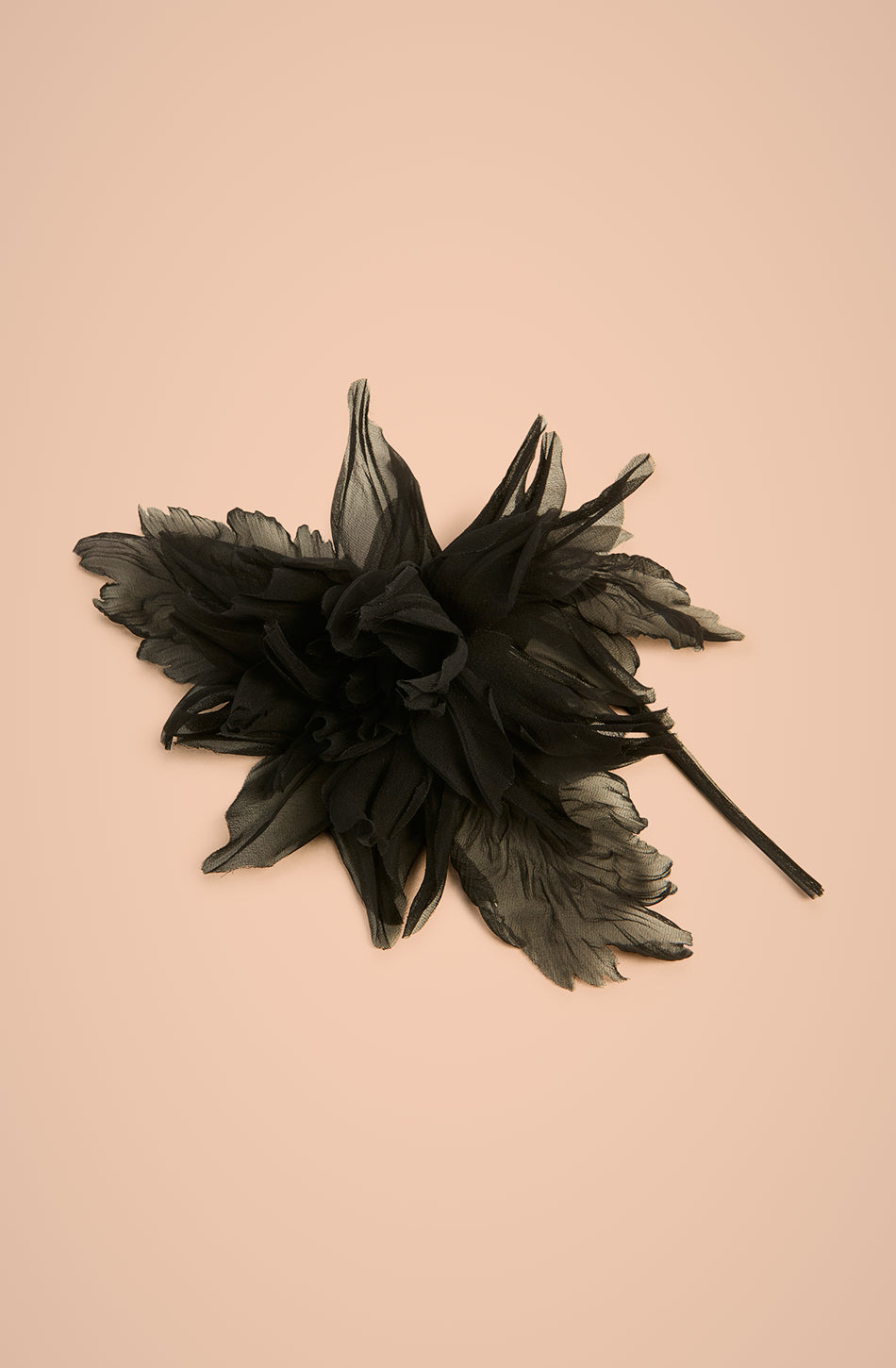 SPILLA FIORE