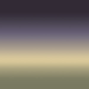 GREEN-PURPLE SHADE